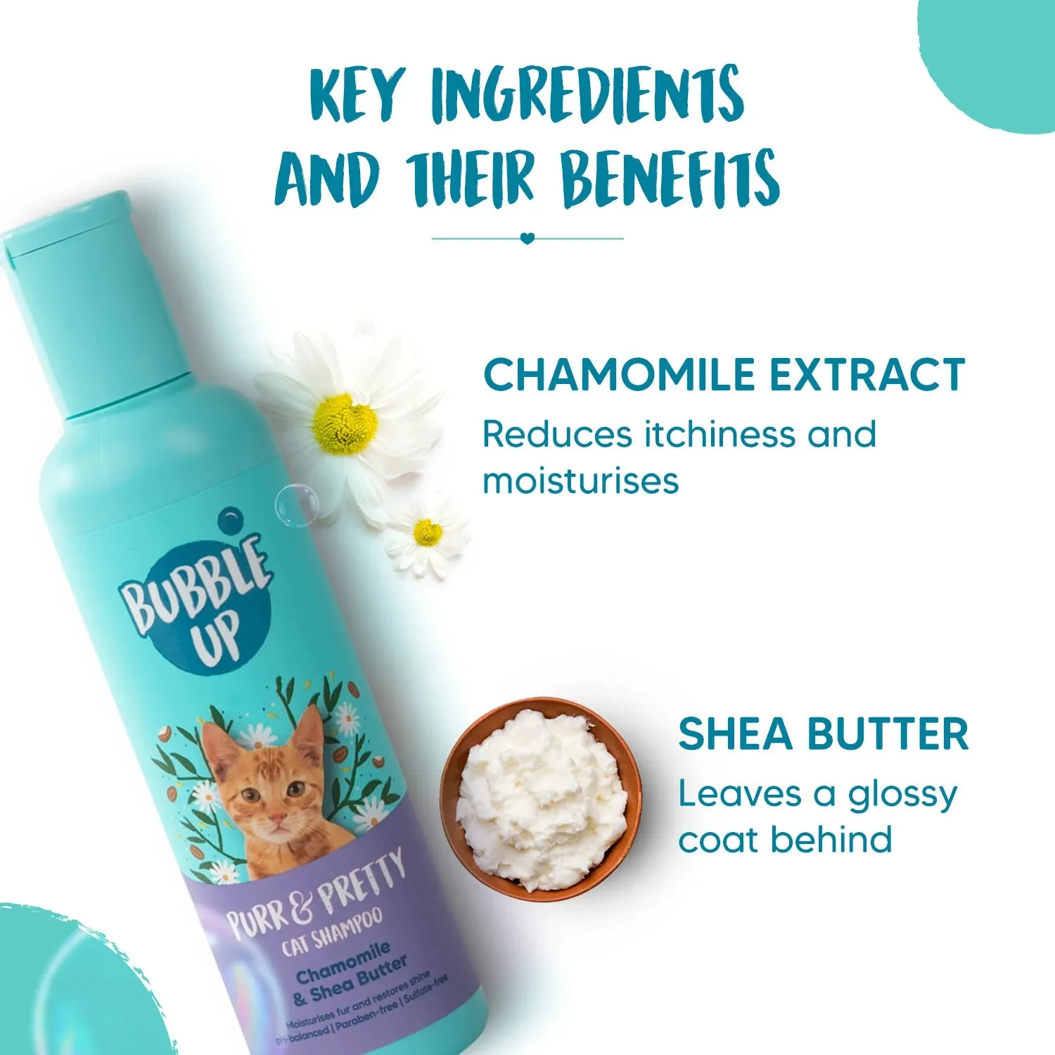 Bubble Up - Purr & Pretty Cat Shampoo