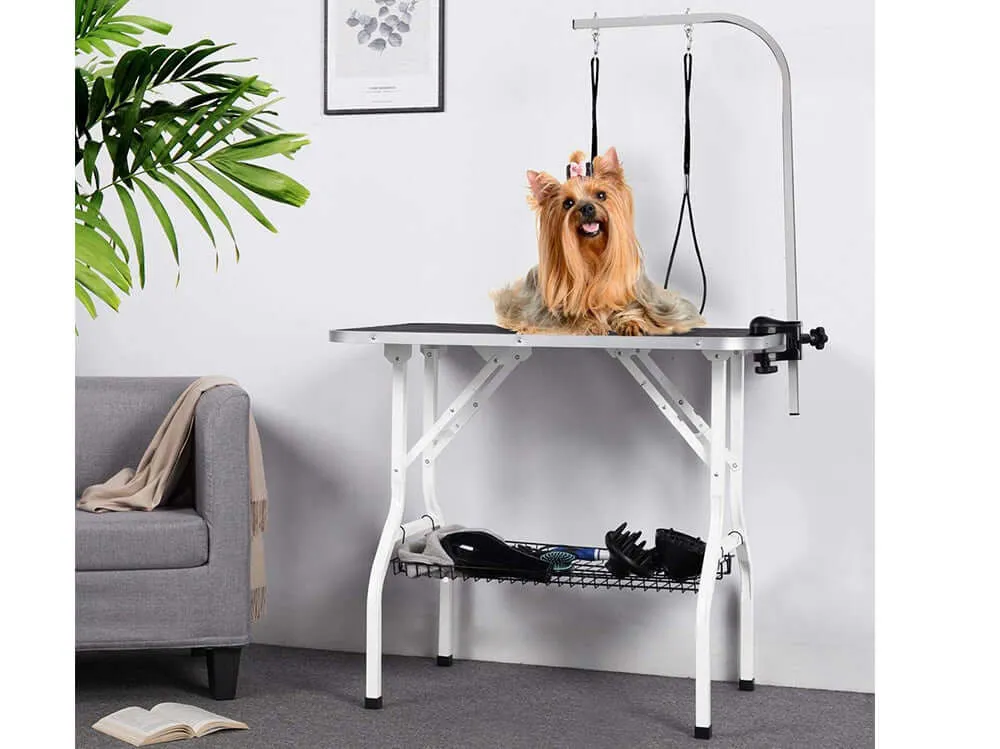 Dog Grooming Table Height Adjustable