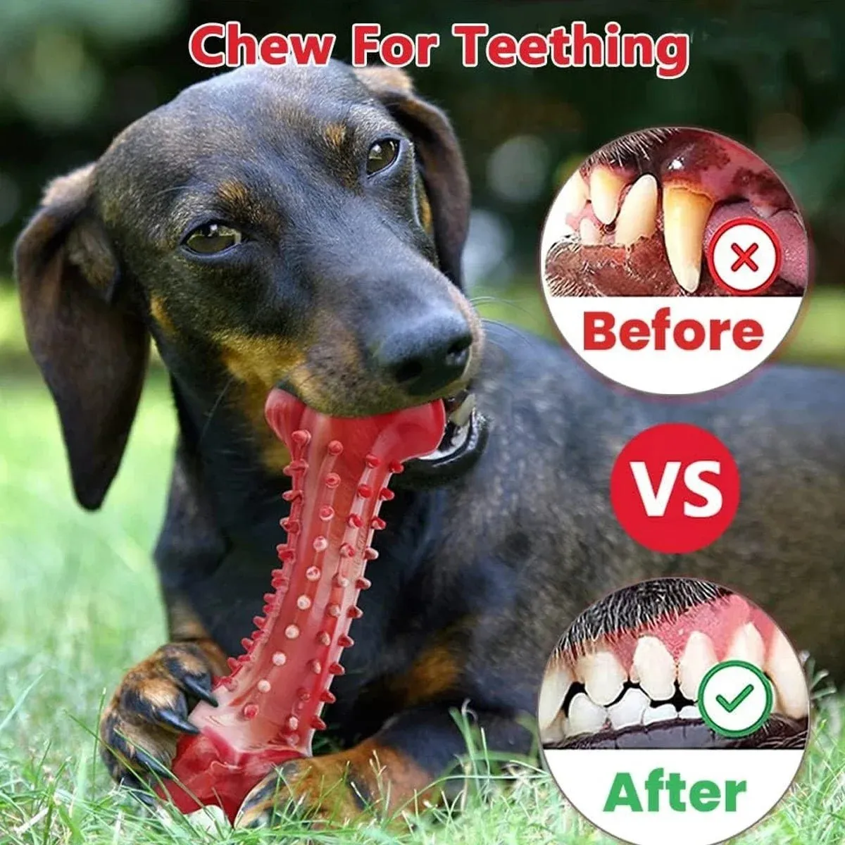 Durable Long-Lasting Natural Rubber Bone Dog Chew Toy Suitable For Aggressive Dogs