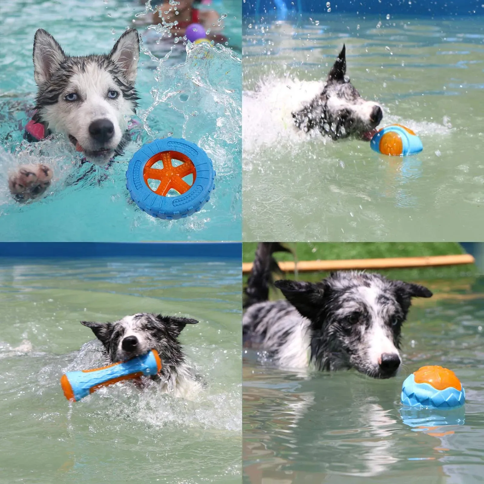 Durable Rubber Dog Chew Toys - Squeaky, Bite Resistant for Large Dogs