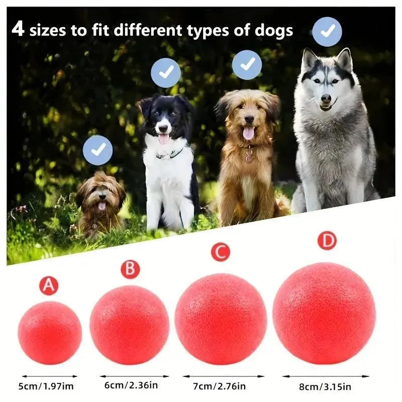 Durable Rubber Dog Toy