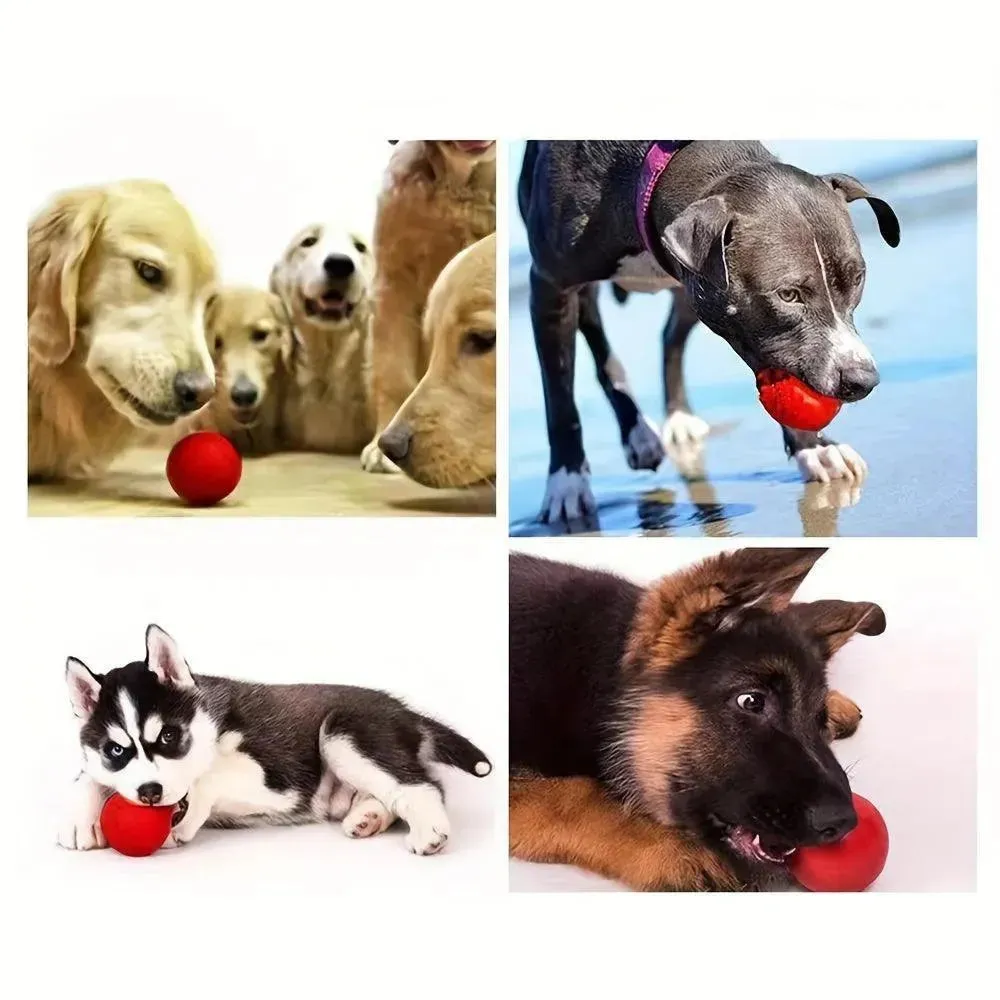 Durable Rubber Dog Toy