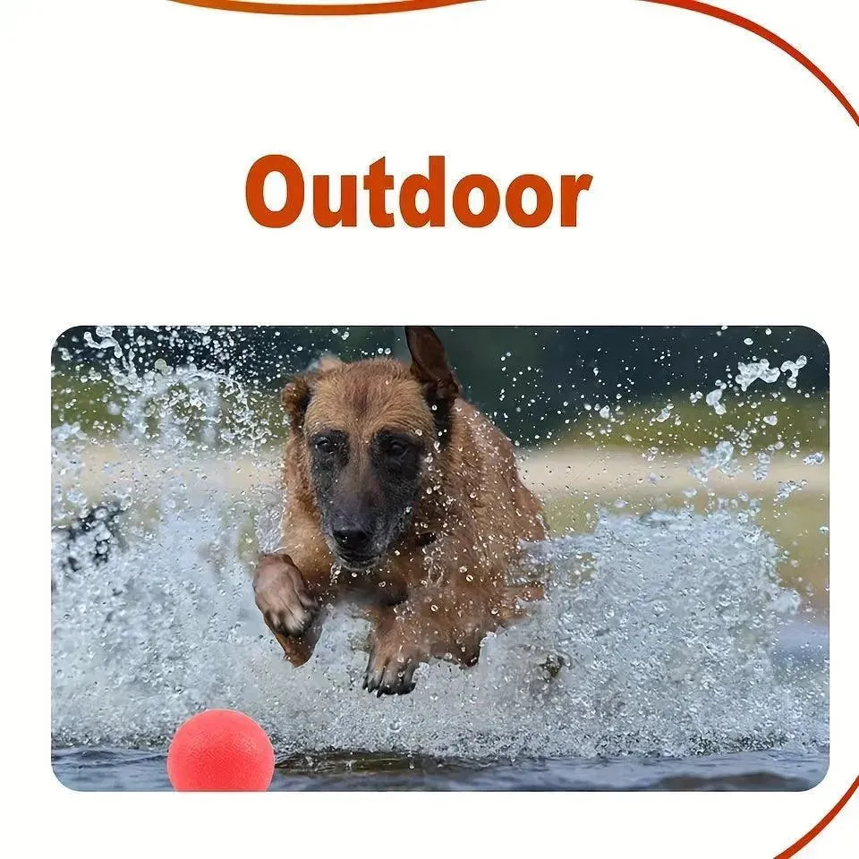 Durable Rubber Dog Toy