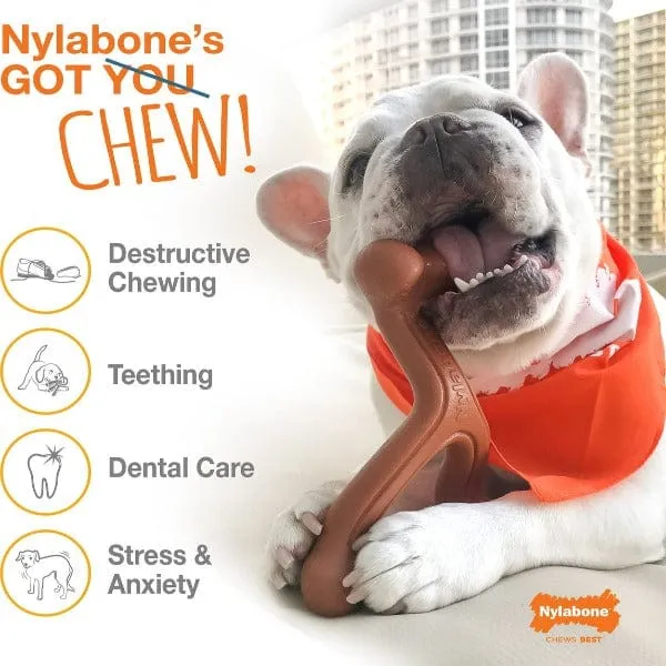 Nylabone PRO Action Dental Power Chew Durable Dog Toy