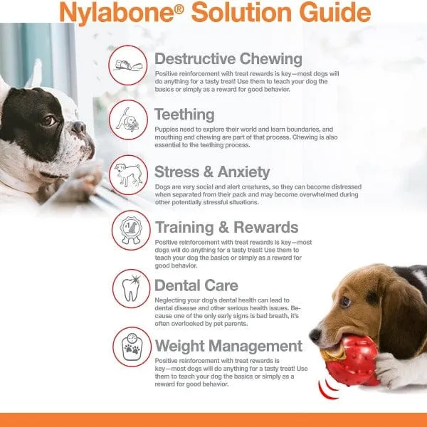 Nylabone PRO Action Dental Power Chew Durable Dog Toy