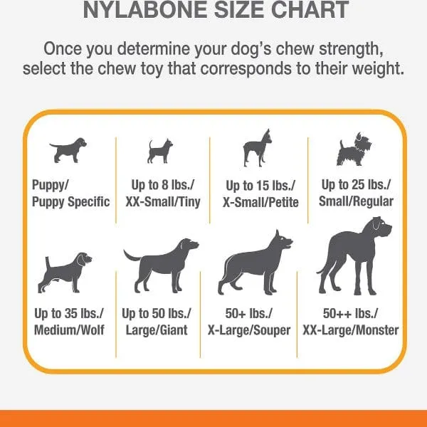 Nylabone PRO Action Dental Power Chew Durable Dog Toy