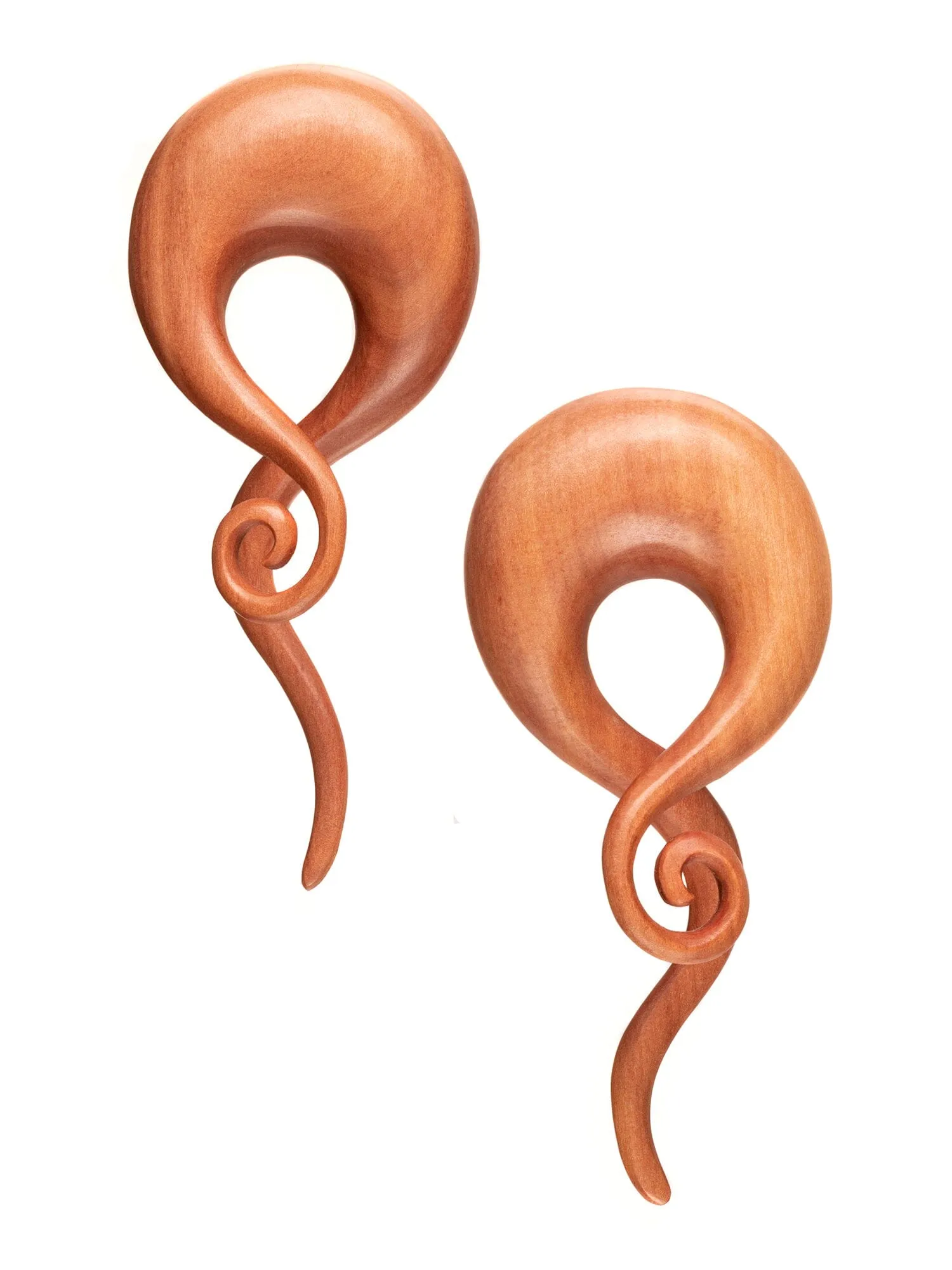 Sawo Snake Curl Wood Hangers