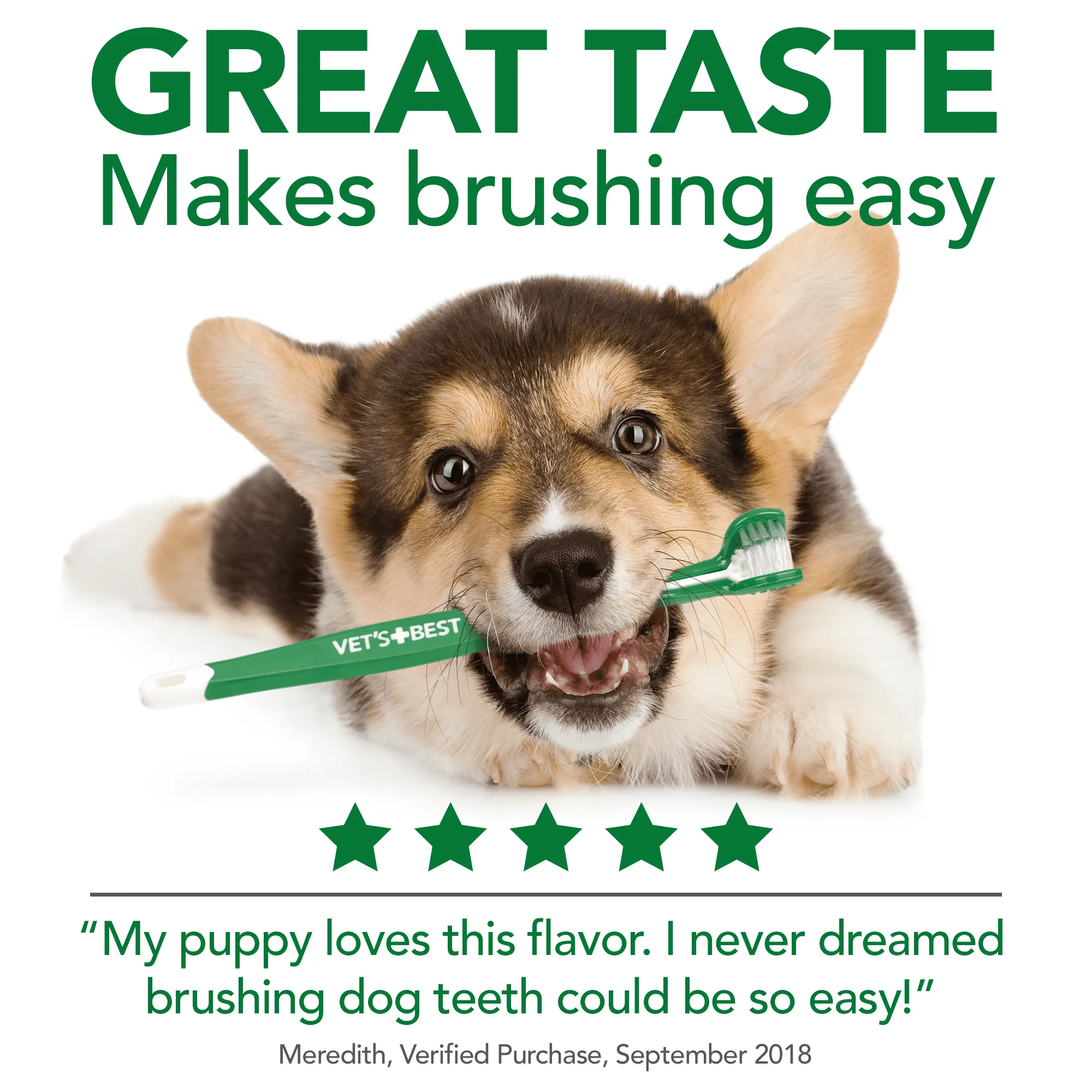 Vet's Best Enzymatic Dog Toothpaste, Fresh Breath Dental Care Gel, 35 Ounces